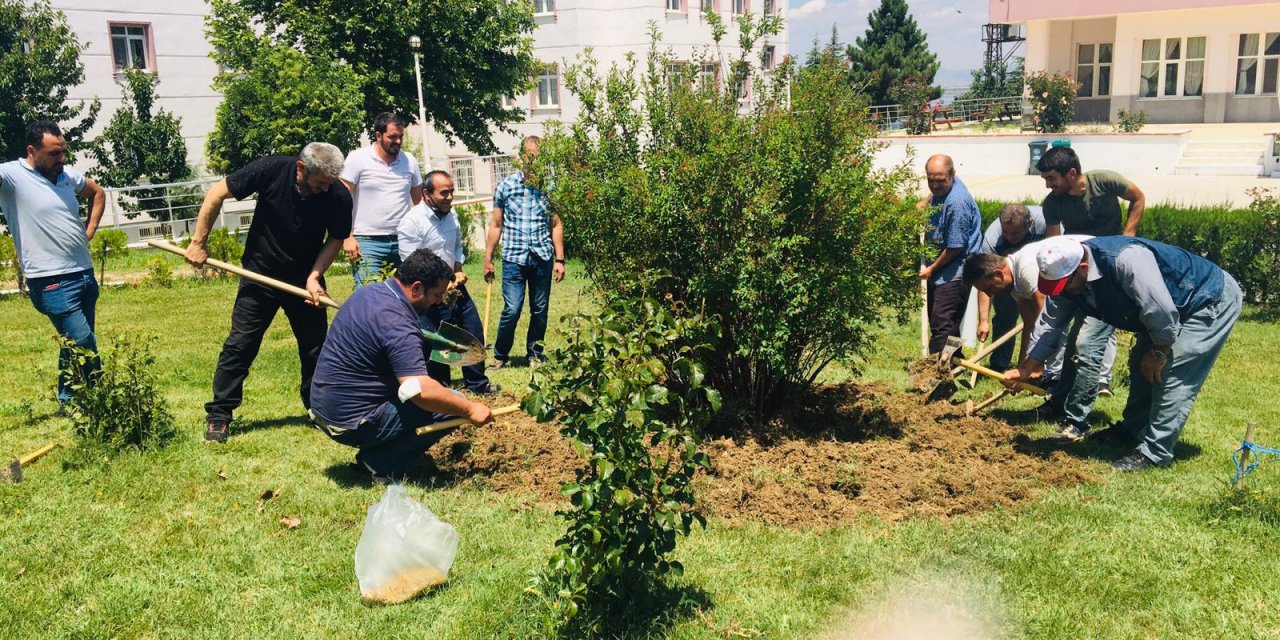 Beyşehir'de KYK personeline süs bitkileri yetiştiriciliği kursu