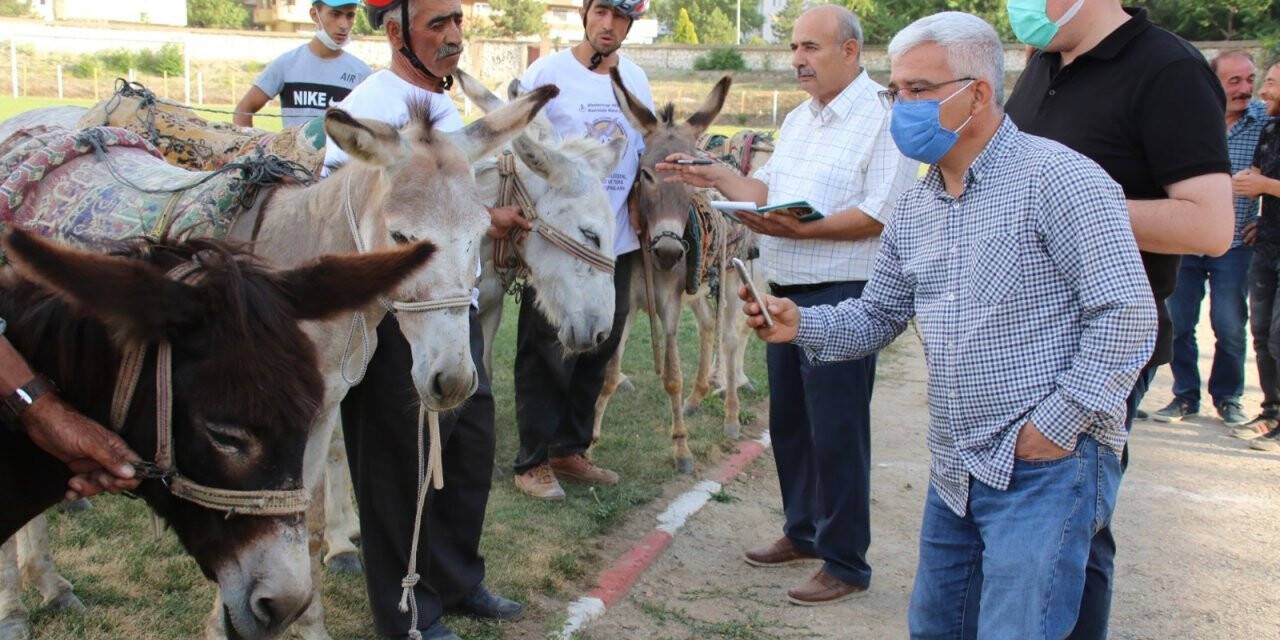 En hızlı ve en güzel gözlü eşek yarışları yapıldı