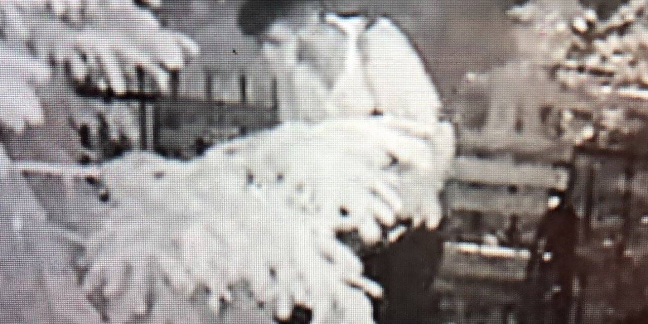 Apartman önünden motosikletin çalınması kamerada