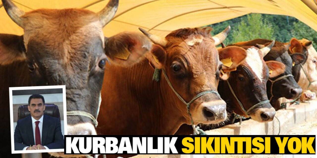 Kurbanlık Sıkıntısı Yok