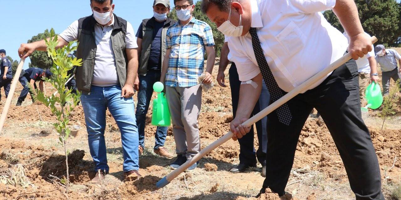 Beyşehir’de 251 Şehit Anısına 251 fidan dikildi