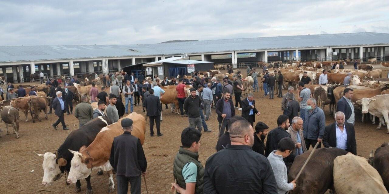 Kuraklık kurban satışlarını olumsuz etkiledi