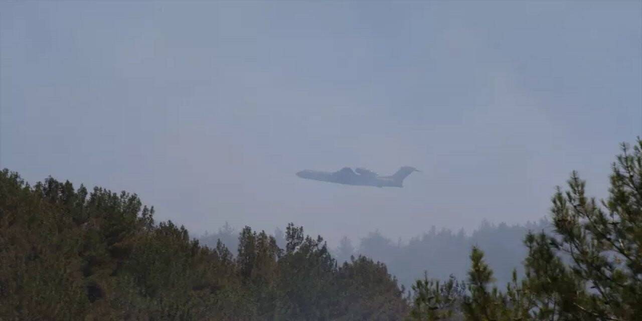 Ve insanlık için korkulan oldu: Ormanlar artık fonksiyonunu yerine getiremiyor!