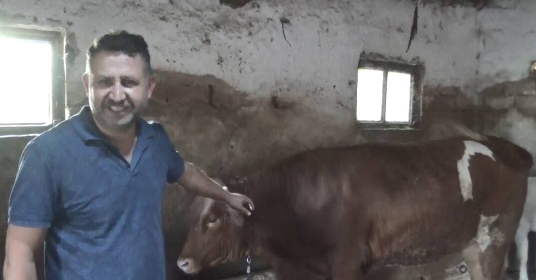 'Ay-Yıldız’lı kurbanlık görenleri hayrete düşürüyor