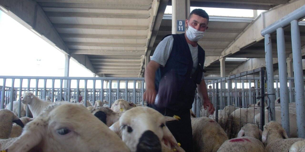 Konya’da Kurban Bayramı arifesinde pazarlarda sakinlik