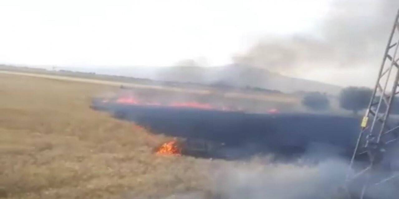 Buğday ekili 4 dekarlık alan kül oldu