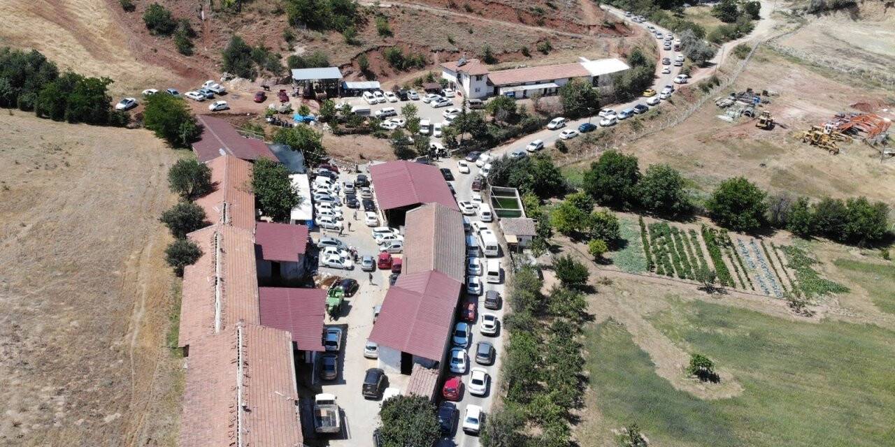 Kurban kesmek için akın ettiler, uzun araç kuyrukları oluştu