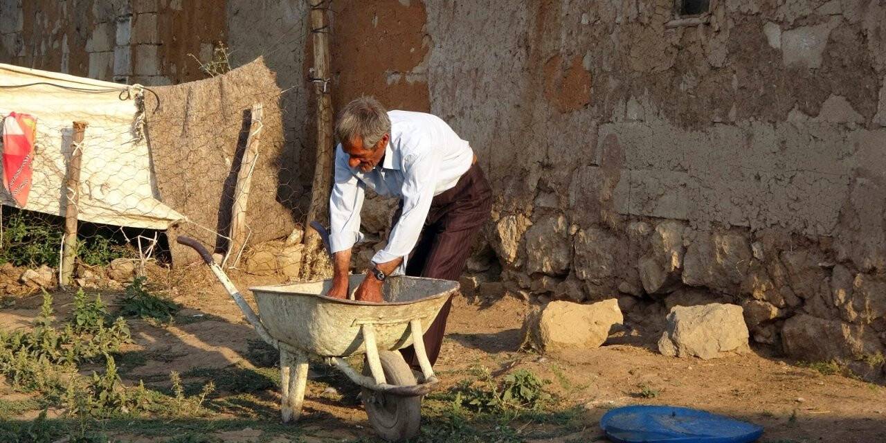 Bataklığa saplanan ineği hayatını değiştirdi