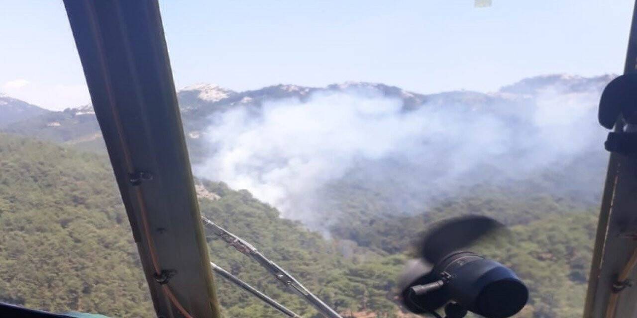 İzmir’de ormanlık alanda yangın
