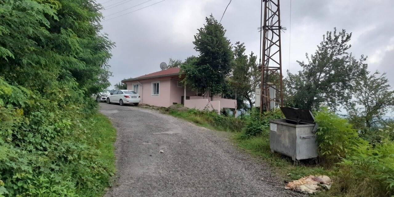 Bulaşıcı hastalık riski nedeniyle sakatatlar toprağa gömülmeli