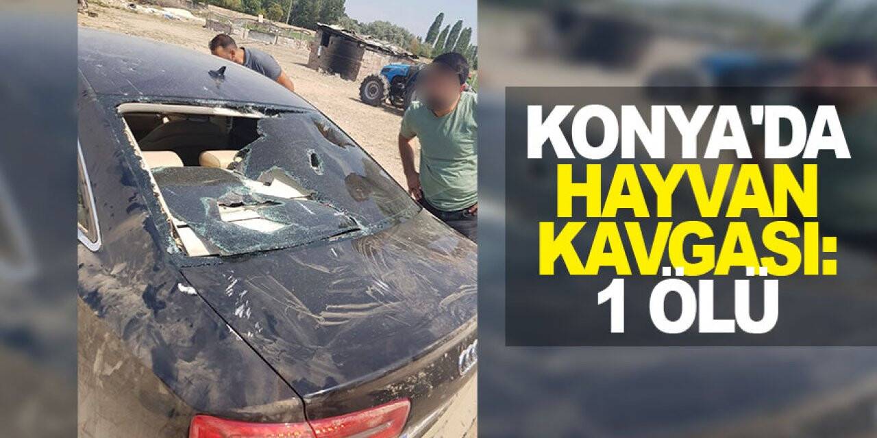 Konya'da hayvan kavgası: 1 ölü