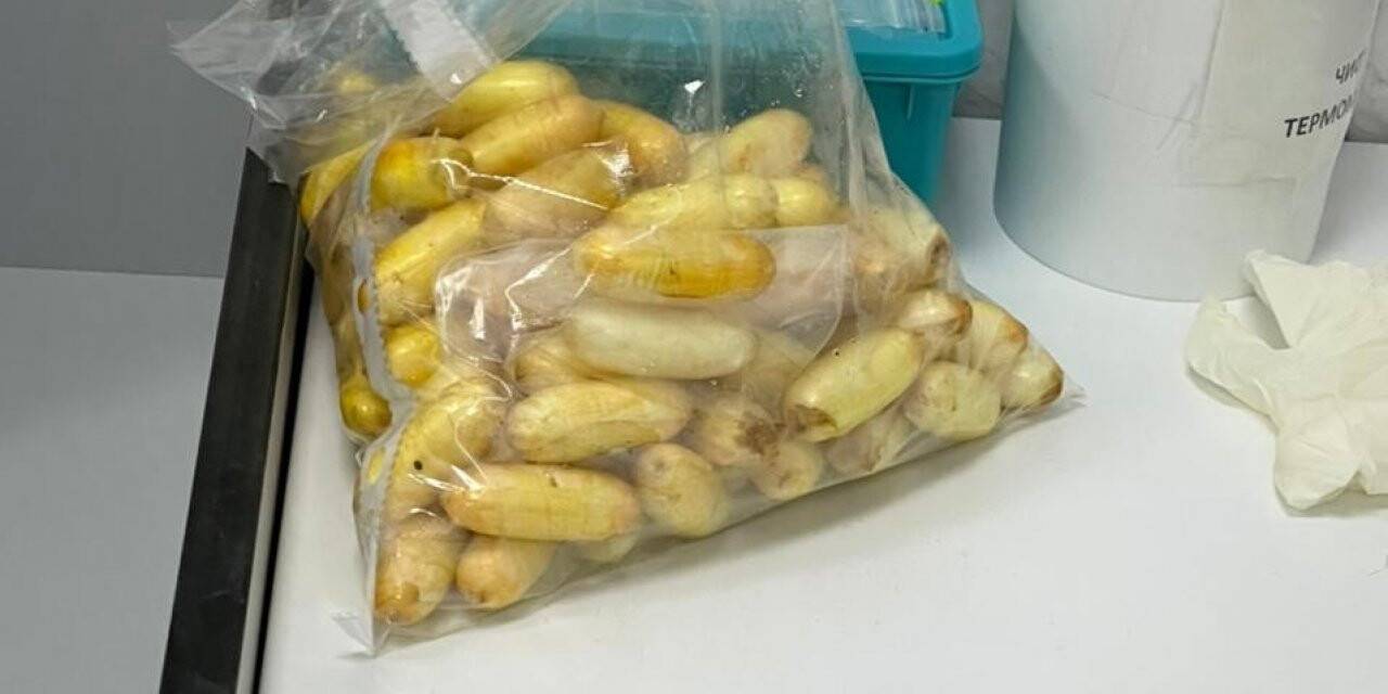 Bir kilo kokaini yutan kurye Ukrayna’da yakalandı