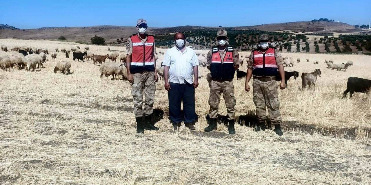 Kayıp çoban ve sürüsü 5 saat sonra bulundu