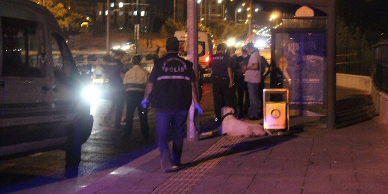 Sokak ortasında kanlı infaz: 1 ölü