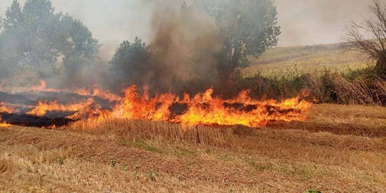 Anız yangınlarına dikkat
