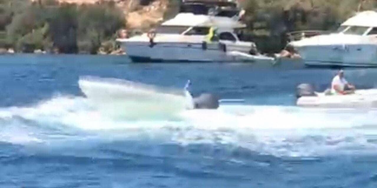 Bodrum’da facianın eşiğinden dönüldü