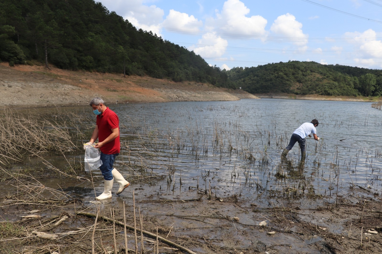 Alibeyköy Barajı'nda kıyıya vuran balıklardan ve sudan numune alındı