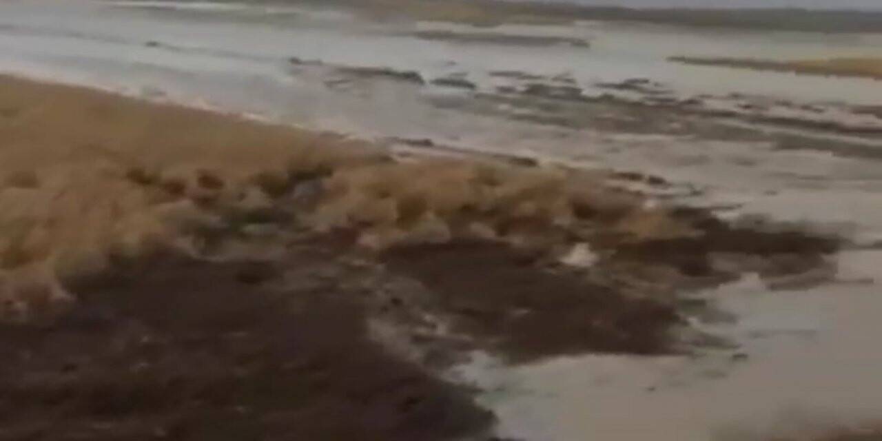 Altıntaş’ta aşırı yağış tarım arazilerinde zarara yol açtı
