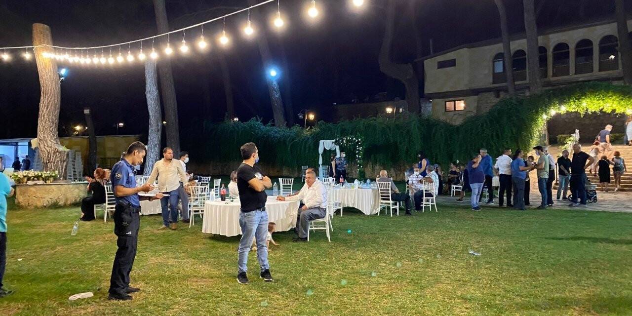 Kır düğününde ağaç devrildi: 1 ölü, biri ağır 9 yaralı