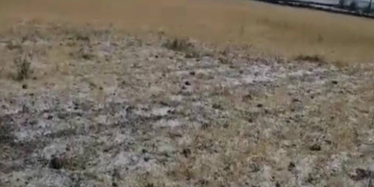 Sağanak yağış ve dolu ekili alanlara zarar verdi