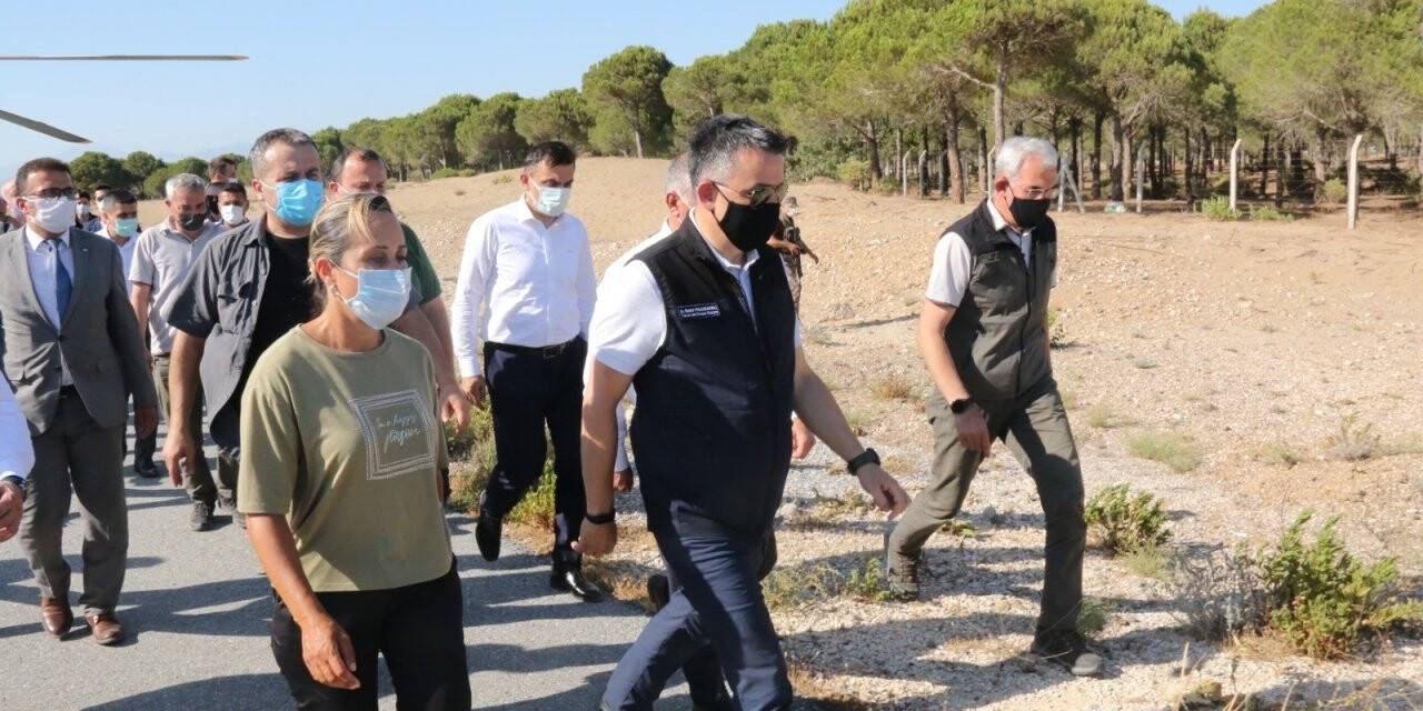 Bakan Pakdemirli: “Manavgat’taki yangında 4 mahalle tahliye edildi”
