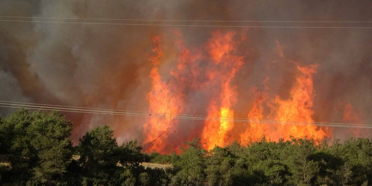 Osmaniye'nin Kadirli ilçesinde yangın