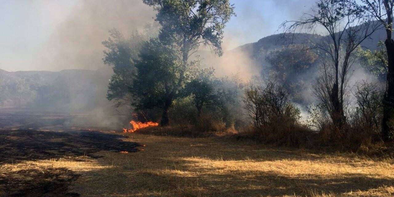 Menteşe’de anız ve zeytinlik yangını