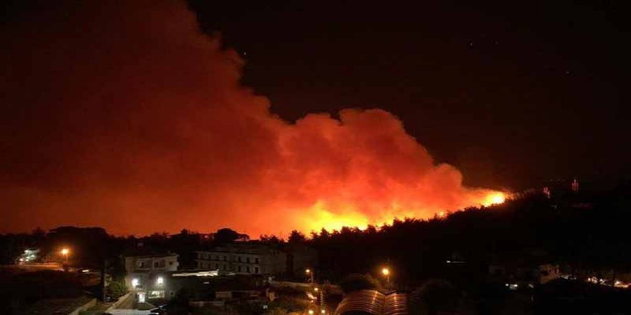 Lübnan'ın kuzeyindeki orman yangını yayılmaya devam ediyor