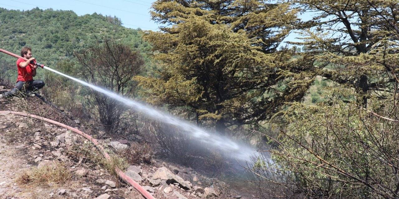 Kocaeli’deki orman yangını 1 buçuk saatte kontrol altına alındı