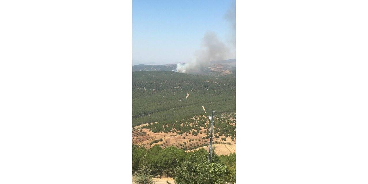 Kilis’te orman yangını
