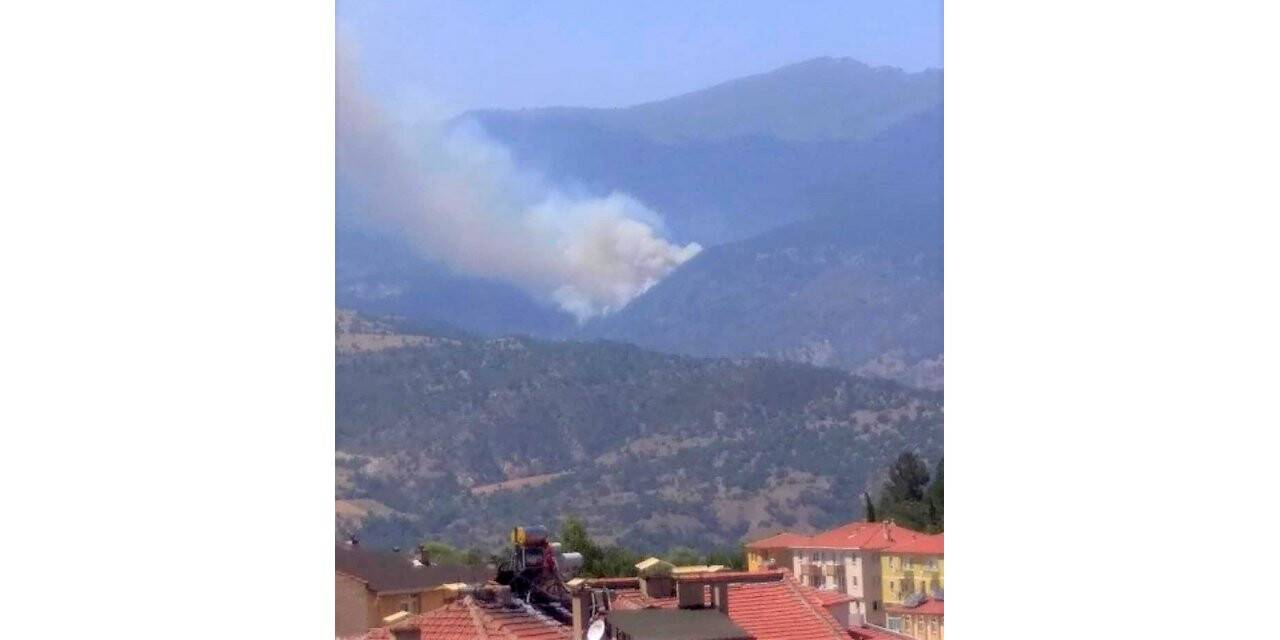 Kütahya'da orman yangınına müdahale ediliyor