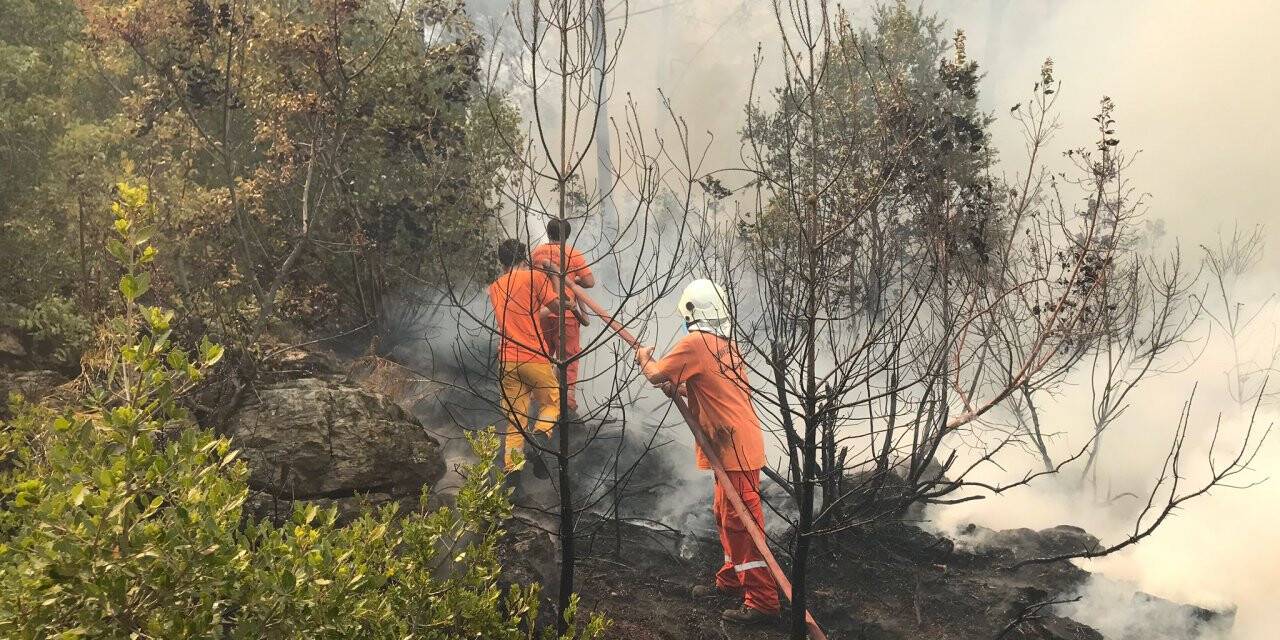 Alanya'da çıkan orman yangınına havadan ve karadan müdahale ediliyor