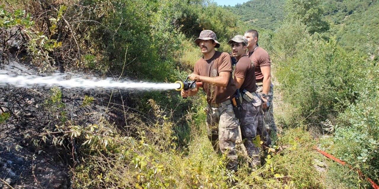 Bakan Pakdemirli müjdeli haberi duyurdu: Tamamen söndürüldü