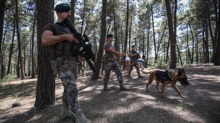 İstanbul polisinden orman yangınlarına karşı helikopter destekli güvenlik önlemi