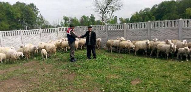 Akıllara durgunluk veren dolandırıcılık