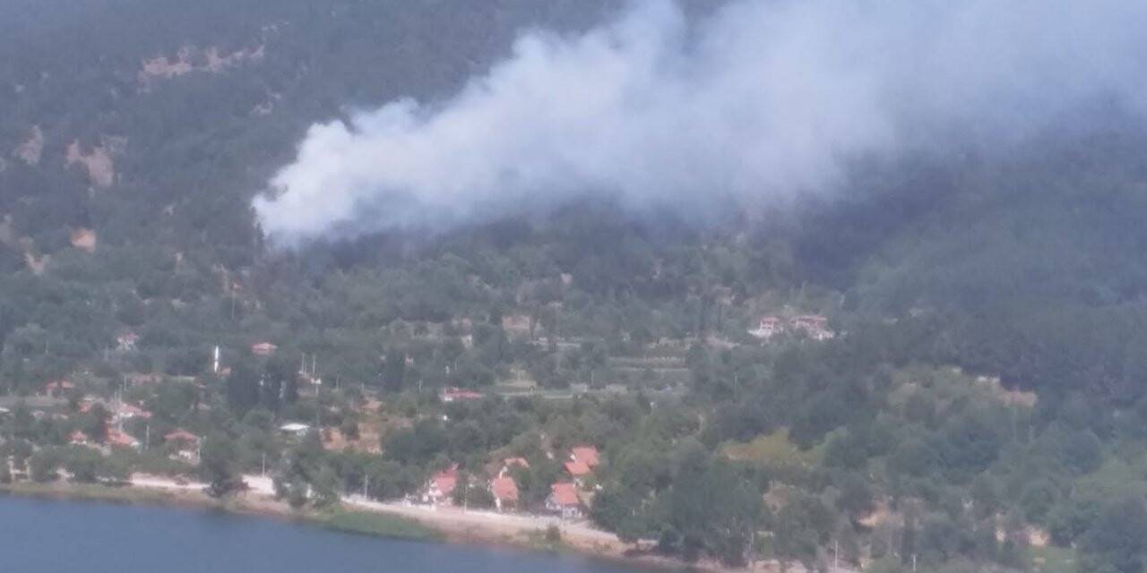 İzmir’de orman yangını