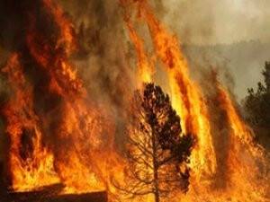 İspanya'da Orman Yangını