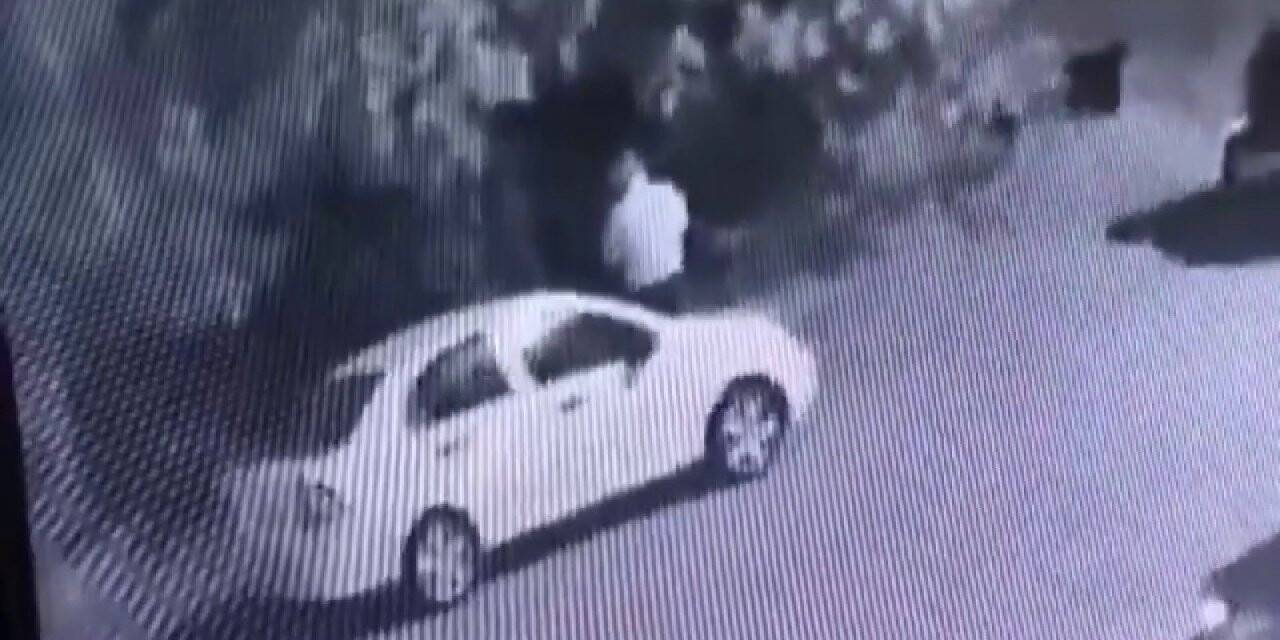 Ağacı ateşe vermeye çalıştıkları o an kamerada