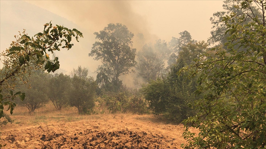 Gündoğmuş ve Alanya'daki orman yangınları kontrol altına alınmaya çalışılıyor