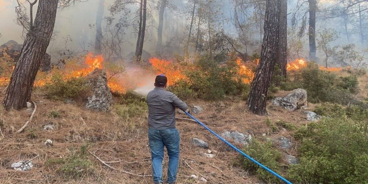 Muğla alevlerle boğuşuyor