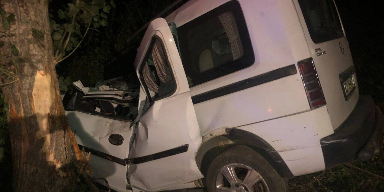 Konya'da ağaca çarpan kamyonetin sürücüsü öldü