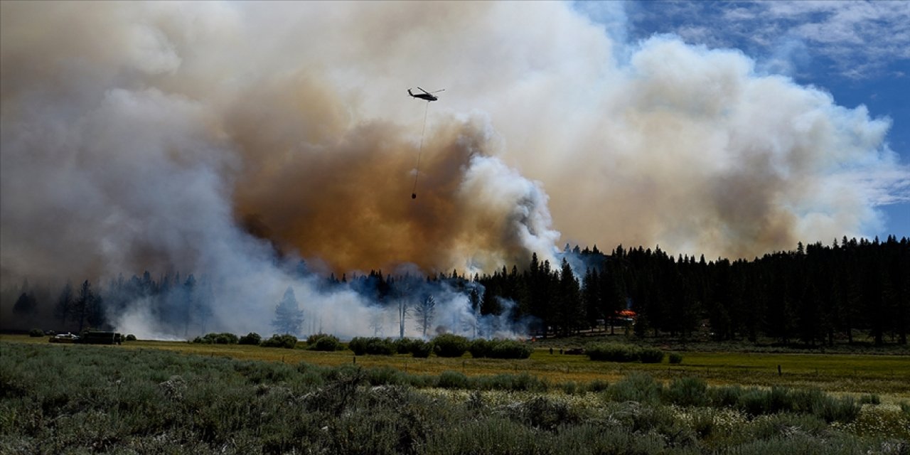 ABD'deki orman yangınları 90'dan fazla alana sıçradı