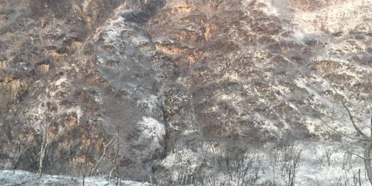 Denizli’nin ciğerleri alevlere teslim oldu