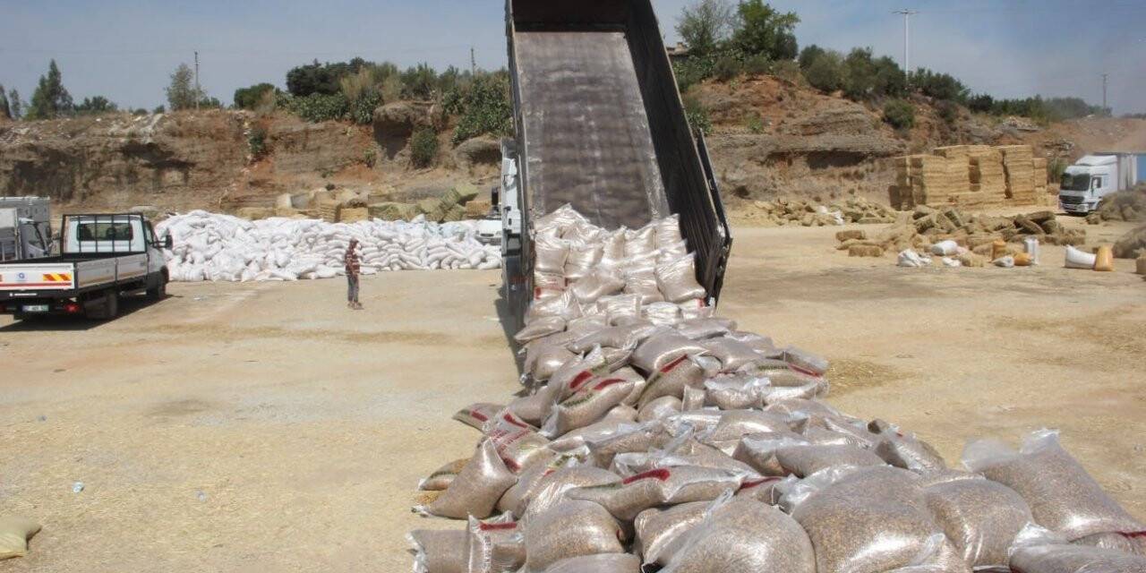 KTB’den yangın bölgesine yem desteği