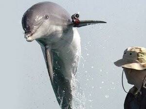 Karadeniz’de Yunus Oyunu