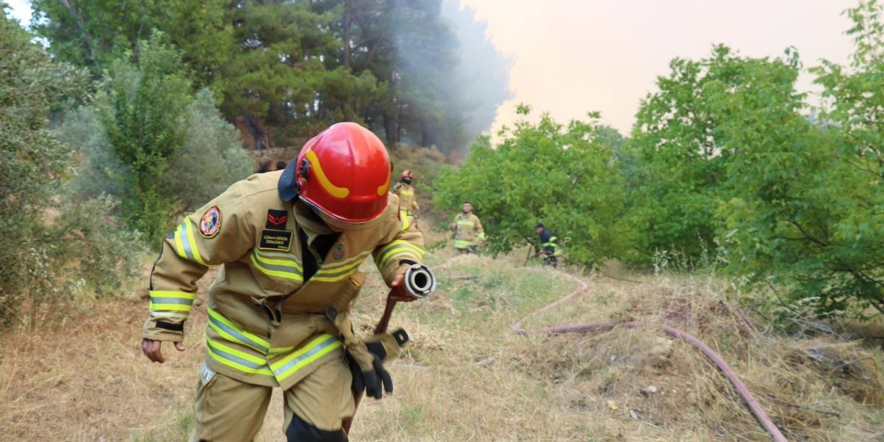 Jandarma Genel Komutanlığı 2 bin 310 personeliyle yangınla mücadele ediyor