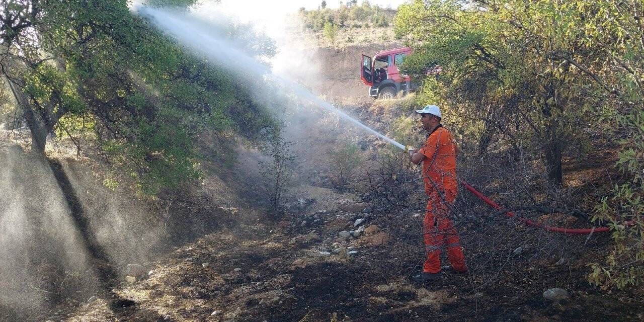 Konya’da ormanlık alanda çıkan yangın büyümeden söndürüldü