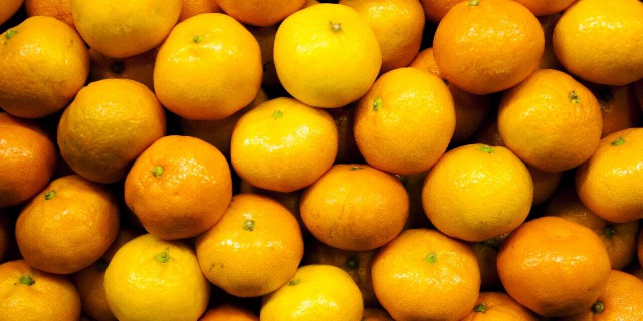 Vitamin deposu narenciyede rekolte düşüşte