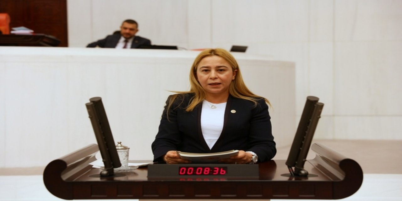 MHP Konya Milletvekili Esin Kara, İYİ Partili Türkkan'ı kınadı!