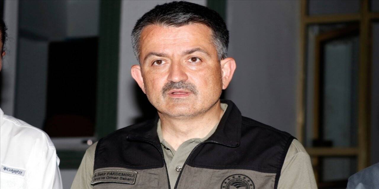 Tarım ve Orman Bakanı Pakdemirli: 44 ilde çıkan 197 orman yangınının 185'i kontrol altına alındı